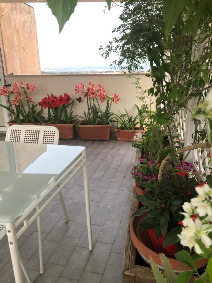 Alojamento de Acomodação e Pequeno-almoço Il Piccolo Attico Caltagirone